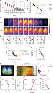 vasoactive intestinal peptide controls the suprachiasmatic