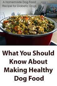 28 Dog Food Recipes Using Natural Healthy Ingredients Healthy Dog Food Recipes Dog Food Recipes Raw Dog Food Recipes
