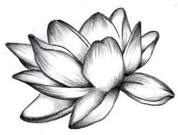 Raccolte di francesca • ultimo aggiornamento: La Consapevolezza Della Propria Natura E Della Propria Forza La Capacita Di Non Farsi Contam Fiori Disegnati A Matita Disegni A Matita Facili Disegno Di Fiori