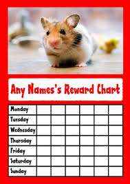 Amazon Com Hamster Star Sticker Reward Chart Office Products