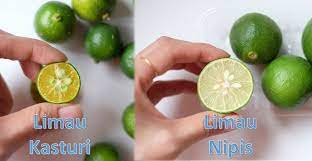 Tips hilangkan sakit kepala tanpa ubat. Beza Antara Limau Kasturi Dan Limau Nipis Resep Tom