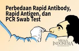 + what is a rapid antibody test. Perbedaan Rapid Antibody Rapid Antigen Dan Pcr Swab Test