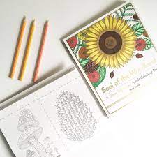 Read reviews from world's largest community for readers. Soul Of The Woodland A Stress Relieving Adult Coloring Book Celebration Edition Bluestarcoloring Com