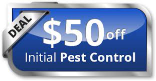 Let bug techs pest control co. Pest Control Experts Pest Termite And Rodent Control In South Florida