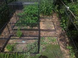 Growing Japanese Vegetables In Your Garden Vegetable Garden Design Vegetable Garden Raised Beds Vegetable Garden