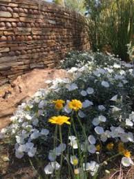 These landscapes generally require little water beyond the annual rainfall. Xeriscape Versus Zeroscape Is There A Difference Water Use It Wisely