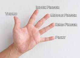 (the index finger is your pointer finger) if you mean between the middle and index fingers, then yes, it is the letter t in sign language. Know The Meaning Of Ring On Each Finger Tungsten Wedding Bands