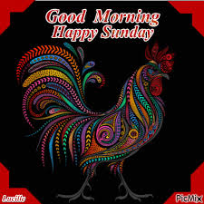 Download Gif Animation Good Morning Blessed Sunday Gif Png Gif Base Bienvenidas mis queridas vecinas de cgl, he aqui un lindo tutorial. download gif animation good morning