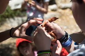 The minoans were an advanced civilization that constructed a large navy. Educational Activity For Kids In Knossos Mamakita Gr