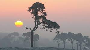 7 Ways A 70 200mm Lens Can Improve Your Landscape Photography Landscape Photography Scenic Photography Landscape Photos