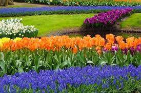 Browse 278,737 beautiful garden stock photos and images available, or search for beautiful garden uk or beautiful garden landscape to find more great stock photos and pictures. Garden Free Stock Photos Download 3 347 Free Stock Photos For Commercial Use Format Hd High Resolution Jpg Images