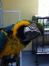 Pin On My Blog Entries