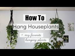 We did not find results for: How To Hang Houseplants Best Hanging Indoor Plants Youtube