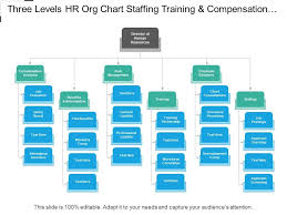 Three Levels Hr Org Chart Staffing Training And Compensation