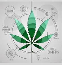 Dari skye doing any weed related tattoos sorry mom. Marijuana Plant Drawing Vector Images Over 1 900