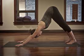 Asana In Focus Hand Position In Downward Facing Dog Downward Facing Dog Asana Vinyasa Flow Yoga