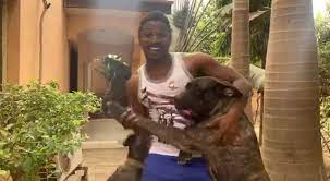 Interview Kannywood Why I Chose Dog As Lead Actor For My New Film Zaharadden