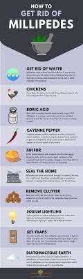 A quick solution to the removal of millipedes from homes, especially walls and floors, is the use of a vacuum cleaner. 15 Home Remedies To Get Rid Of Millipedes Millipede Home Remedies Remedies