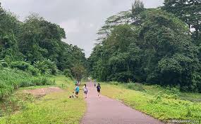 Download 120+ royalty free green corridor vector images. Walking The Rail Corridor Exploring The Clementi Forest Old Bukit Timah Railway Station Little Day Out