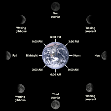 Do Lunar Phases Actually Affect The Bite