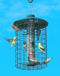 Here is the complete step by step diy tutorial How To Buy Or Make A Squirrel Proof Bird Feeder Dengarden