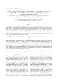 Memang pastinya terdapat sesuatu yang cukup istimewa mengenai perubatan di. Pdf Multiplex Pcr Assays For Species Discrimination Of Cymbopogon Citratus Dc Stapf And C Nardus L Rendle Two Common Serai Lemon Grass Species In Peninsular Malaysia