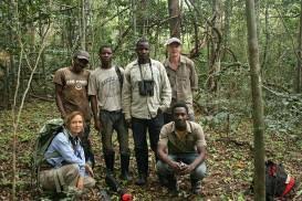 Image result for Oncella curviramea