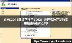 在VS2017环境下使用SDK81进行高效开发的实用指南与技巧分享- MK ...