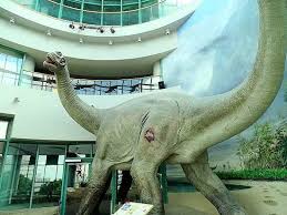 Dinosaur Picture Of North Carolina Museum Of Natural Sciences Raleigh Tripadvisor