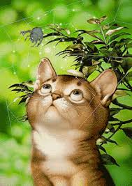 Die einen zählen schnurrende stubentiger zu ihren hausgenossen, während sich andere über den besuch von fremden katzen im garten maßlos aufregen. Https Encrypted Tbn0 Gstatic Com Images Q Tbn And9gcqc5zlvgor4rho0deieqrslvzsd9f2ynga7fa Usqp Cau