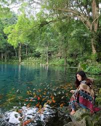 Yuk Ah Kasih Makan Ikan Telaga Biru Cicerem Kuningan Jawa Barat Elvaraiy Telaga Biru Instagram Photography Instagram Posts