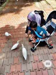Sabtu yang lepas, aku bawa wife & anak aku ke taman burung kuala lumpur. Jalan Jalan Di Taman Burung Kuala Lumpur Kl Bird Park Ana Suhana