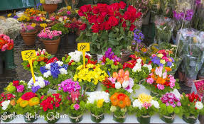 The last week, italy has experienced some extraordinary weather. Rome S Climate How To Survive The Summer Months