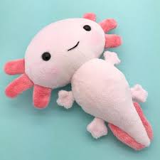 Axolotl Plush Toy Stuffed Toy Axolotl Axolotl Softie Etsy Axolotl Plushie Patterns Plushies