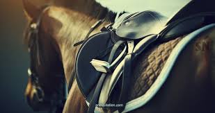 Types de contrat de travail : Quels Sont Les Differents Types De Selles De Cheval