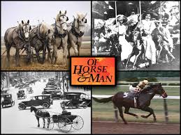 From soothing nature documentaries to more. New Three Part Documentary Of Horse Man Available On Prime Video America S Best Racing