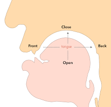 ipa chart for language learners sound placement mouth vowels