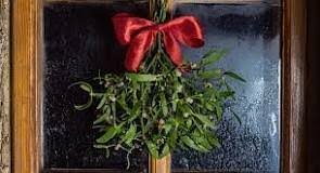 Image result for Helixanthera schizocalyx