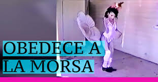 Bueno, un misterio resuelto, el video «obedece a la morsa» es un montaje hecho a partir de la película «the goddess bunny«, y en este punto también sería bueno aclarar que la dama danzante en realidad es un hombre, que trabaja como travesti llamado johnnie baima. America Vive