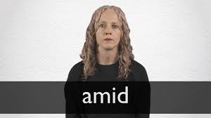 Amid Definition And Meaning Collins English Dictionary