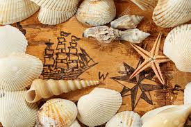 Shells And Starfish On The Sea Chart With Ship On The Order Of