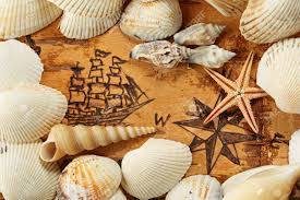 shells and starfish on the sea chart with ship on the order of