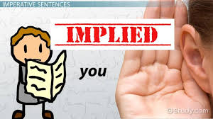 The usual function (job) of an imperative sentence is to give a command or instruction. Comparing Declarative Imperative Sentences Video Lesson Transcript Study Com
