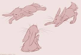 Cabbit Animal Sketches Sketches Artwork It looks like a rabbit, but speaks and thinks like a smart cat. pinterest