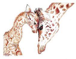 Maybe you would like to learn more about one of these? Giraffe Drawing Baby Animals And Their Mothers Animals Drawing Nursery Art Giraffe Art African Animals Animal Giraffe Drawing Animal Drawings Giraffe