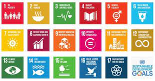 Improving accountability for the health and rights of vulnerable women, children and. Report Of The Un Secretary General Progress Towards The Sustainable Development Goals Sdg Business Hub