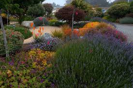 Open Invitation A Garden Design To Bring People Together Plant Id S Finegardening Garden Design Images Garden Design Plants