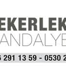 Wwww Tekerleklisandalye Com Tr Tekerlekli Sandalye Tekerlekli Sandalye Fiyatlari Akulu Sandalye Akulu Tekerlekli Sandalye Travel Buggy