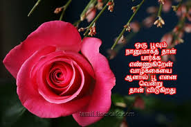 Kavithai About Rose Flowers On Life Flowers Nature Quotes Life