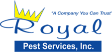 The 7 Best Options For Pest Control In Jacksonville Fl 2021